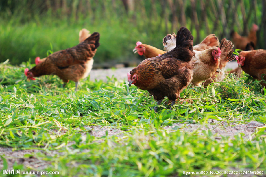 近期晝夜溫差較大，慢性呼吸道又開始猖獗了！